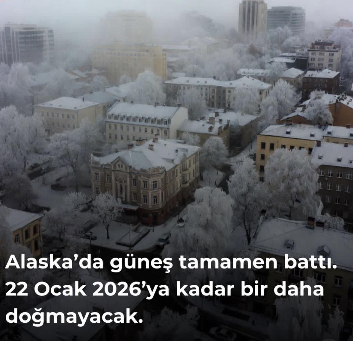 589360563 1484518185963100 3777724930500633441 n