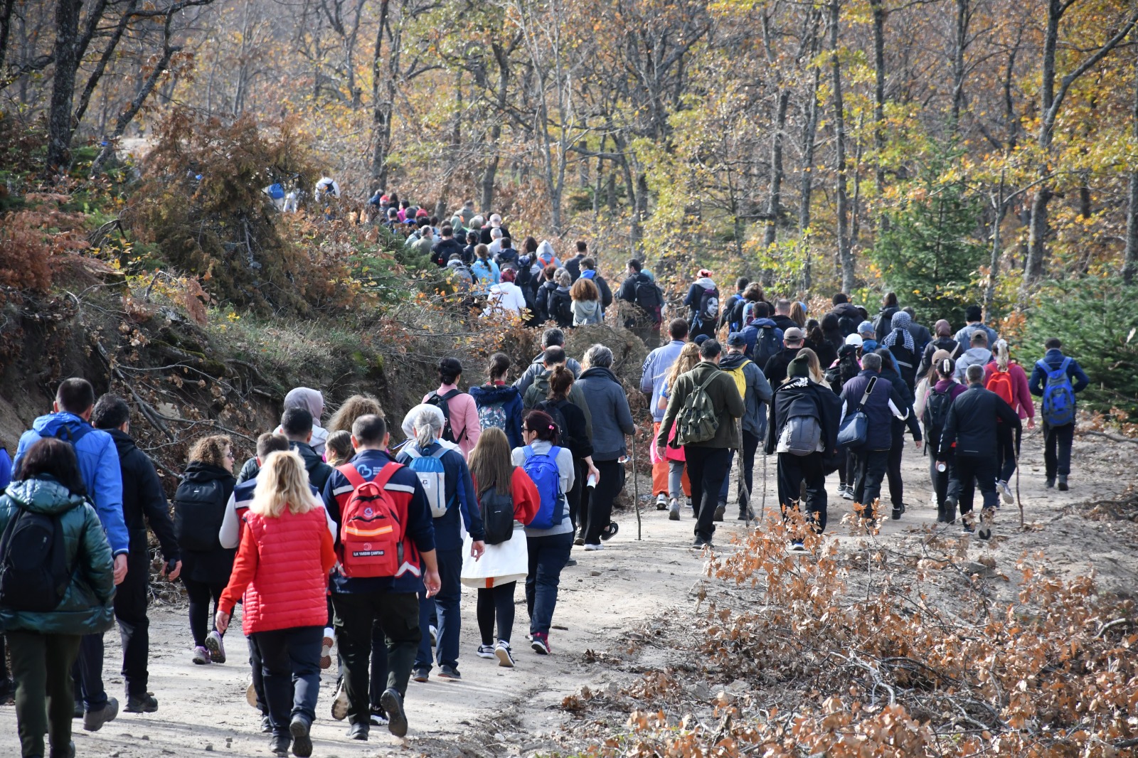 WhatsApp Image 2025 11 24 at 14.55.35