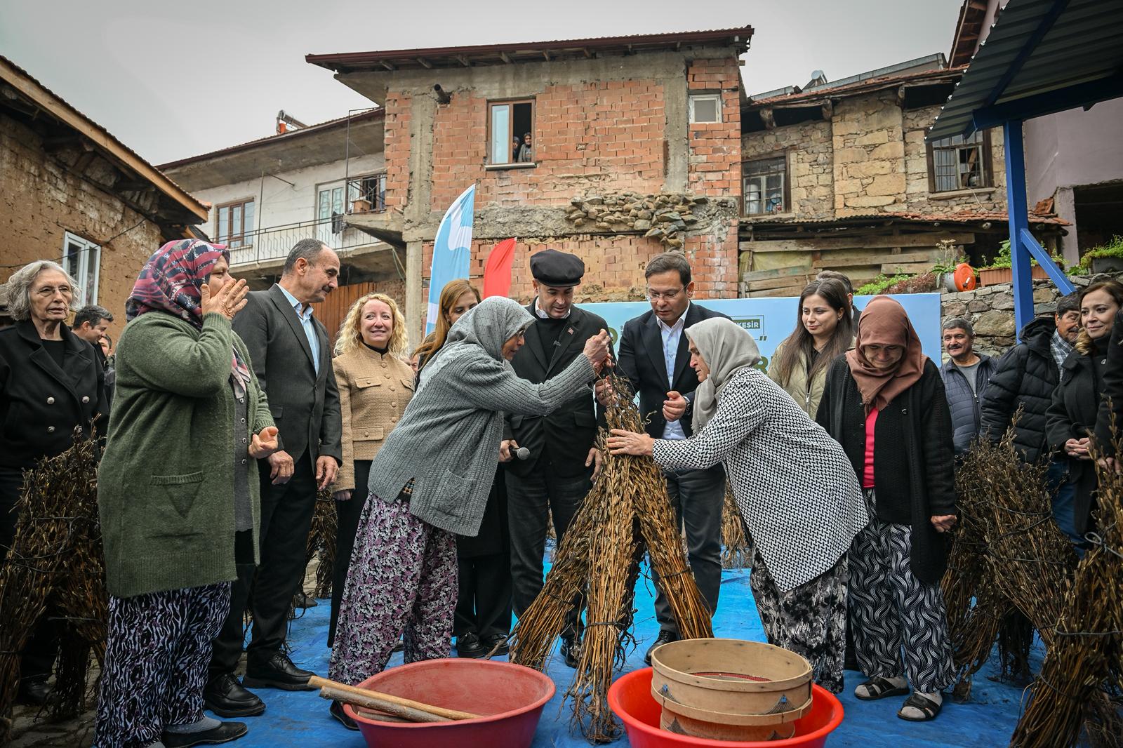 WhatsApp Image 2025 12 11 at 15.42.53