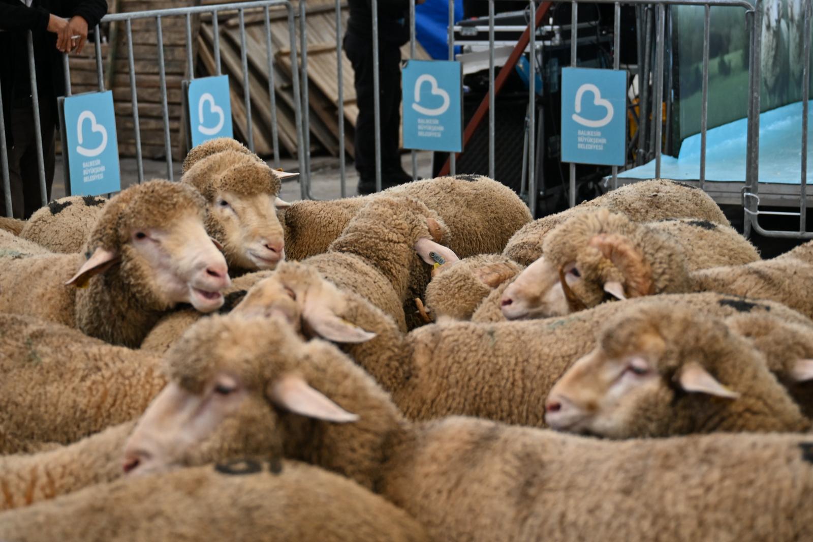 f40b5c07 7a4f 44fc 8ca9 6caafe635c32