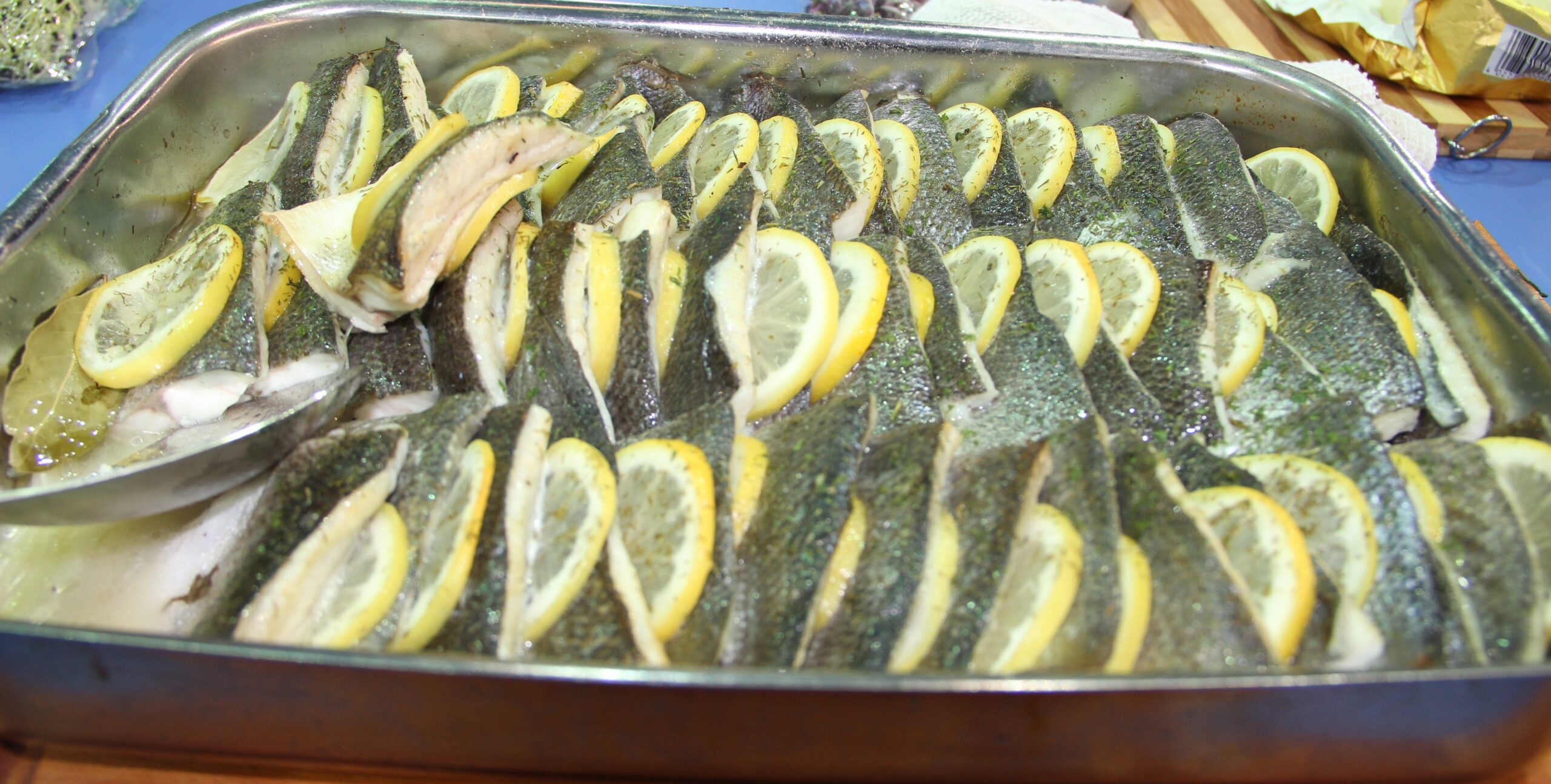 1771824461 1718344948 1699708676 1611814931 1522650926 00013 scaled