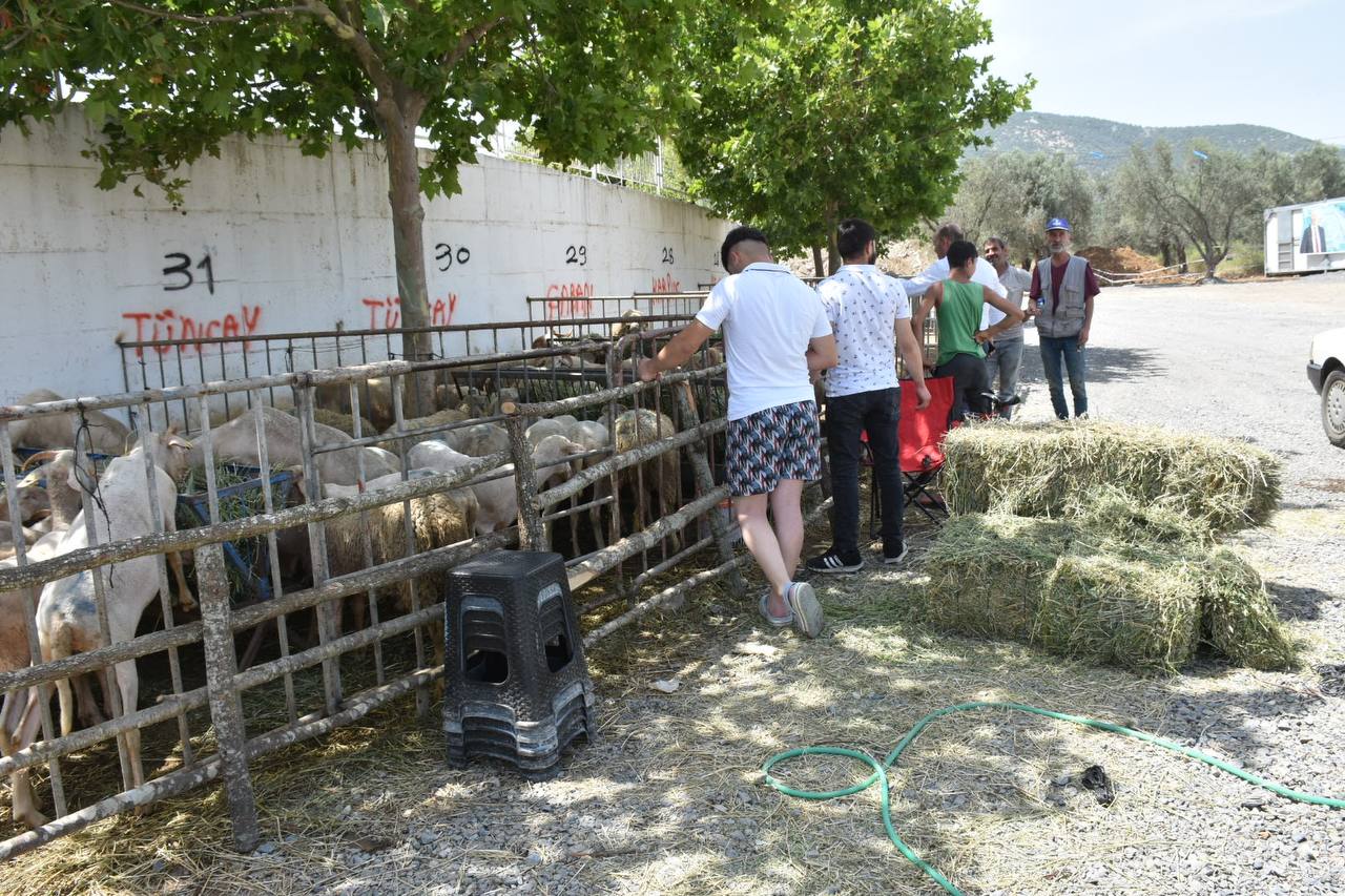 Edremit Kurban Bayramina hazir HABER 11