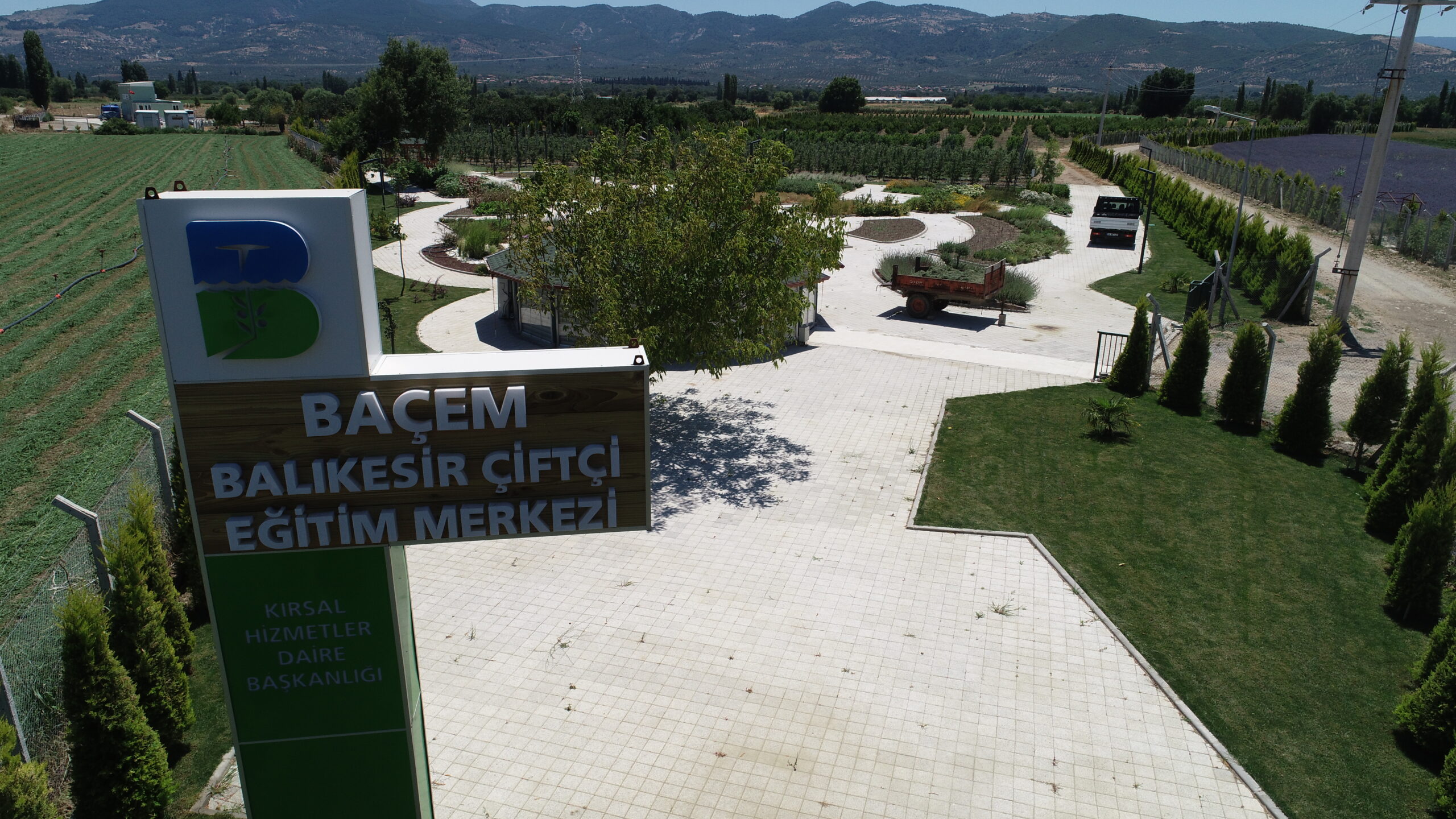 bacem scaled