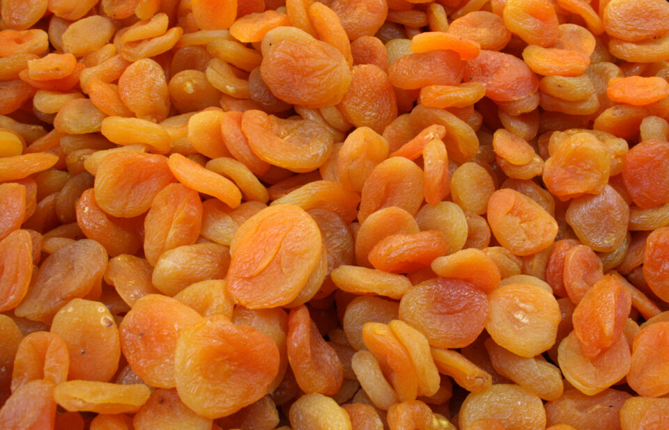 1723015523 1640152492 KURU KAYISI 2