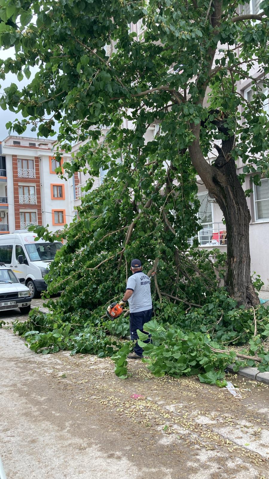 ALTIEYLsL YAZA HAZIR 6