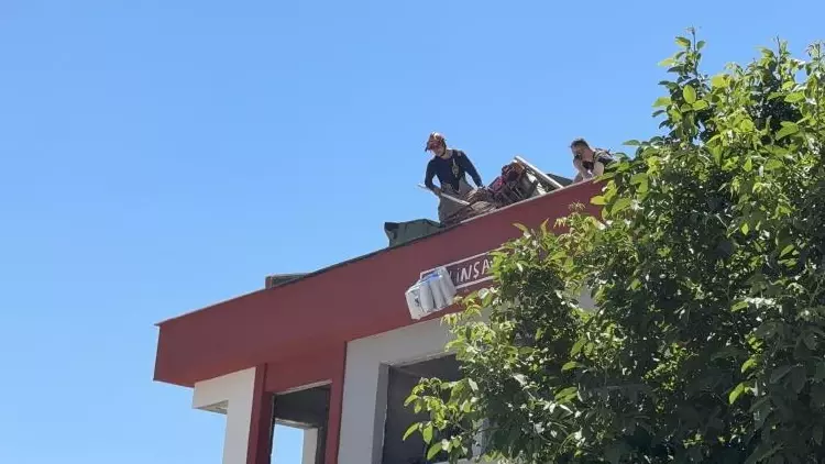elektrik