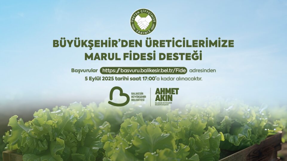 buyuksehirden ciftcilere marul fidesi destegi