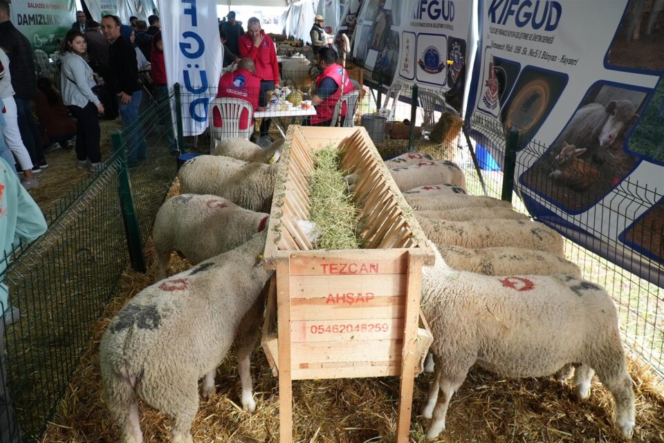 balikesir tarim ve hayvancilik fuari ziyaretci rekoru kirdi 1