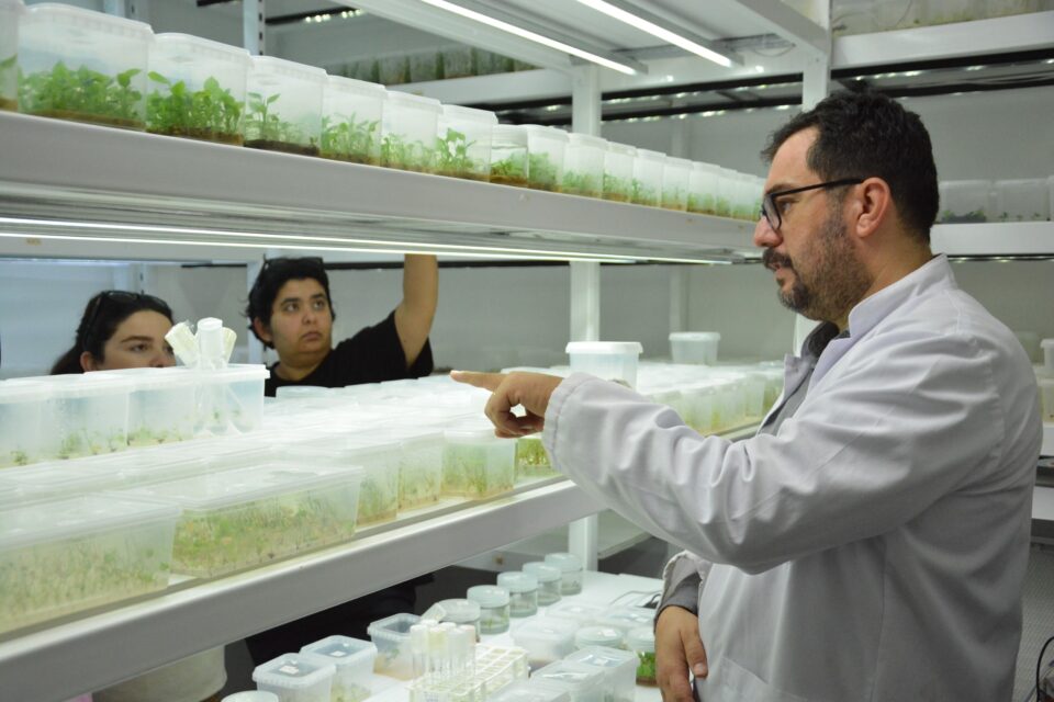 24ce23a2 a0a4 4054 aff6 d4a7a8bf9494 1