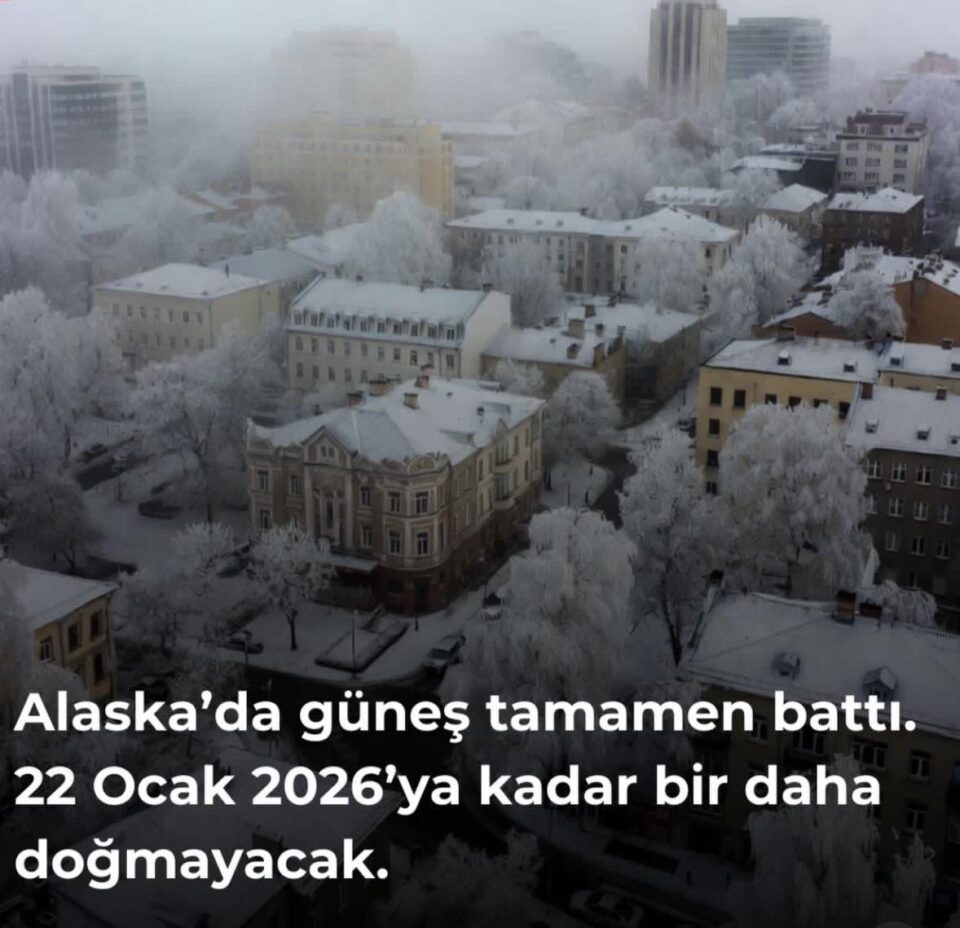 589360563 1484518185963100 3777724930500633441 n