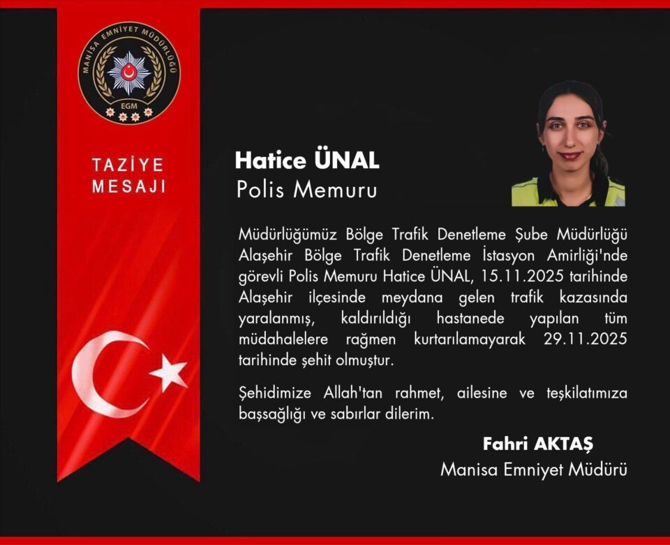 591227393 1426141572850566 8435441655987623870 n