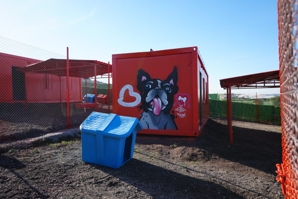 975912300T〉kiyede ilk defa 配el gereksinimli can dostlara sicak yuv