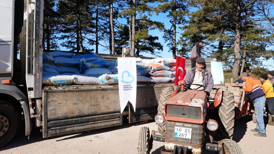 8e3a2833 645e 4755 ae29 debec550d75a