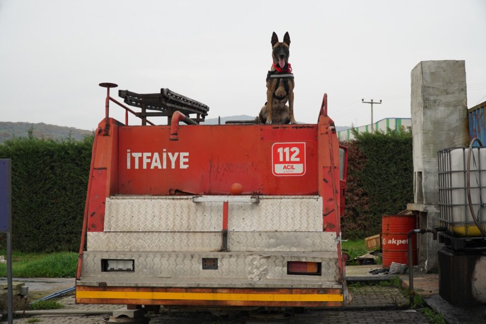 a112b75d 6d44 49e5 885c 44691d2c2952