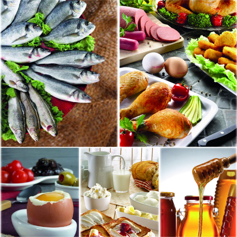 1768223830 Su r nleri Kolaj 04