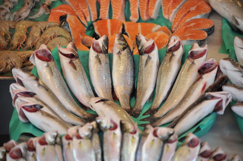 1770186385 1768223891 1718344950 1699708683 1611814954 BALIK3