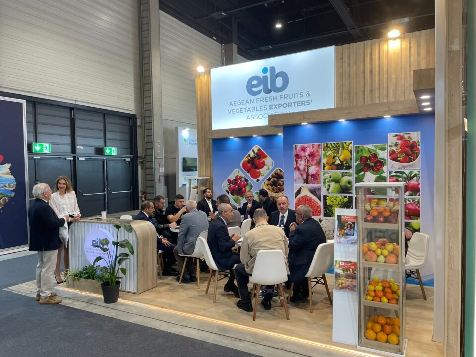 1770705861 WhatsApp Image 2026 02 10 at 09.12.381