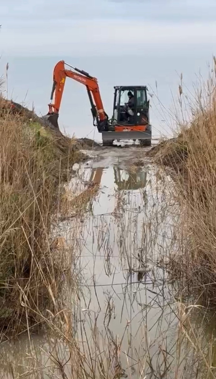 aed55706 e099 4853 87b3 c8a92e26a877