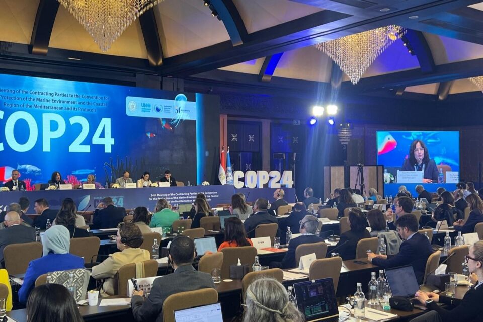 b37afaff 0a6b 4bfd 9a3c 0fea389c8036