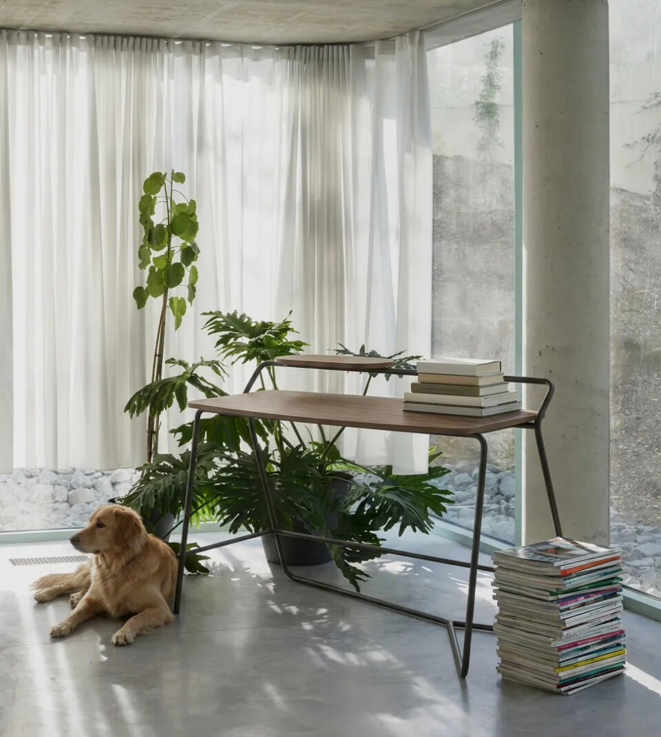 IQON GORSEL1 113654296