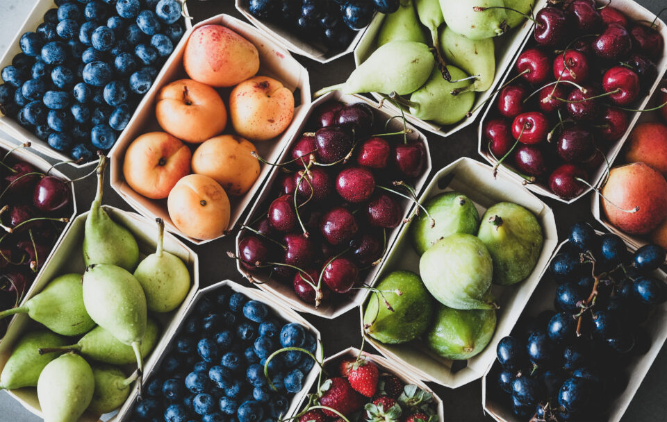 1782107284 1652356365 1651816852 AdobeStock 283505441