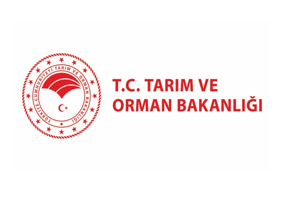 922296490