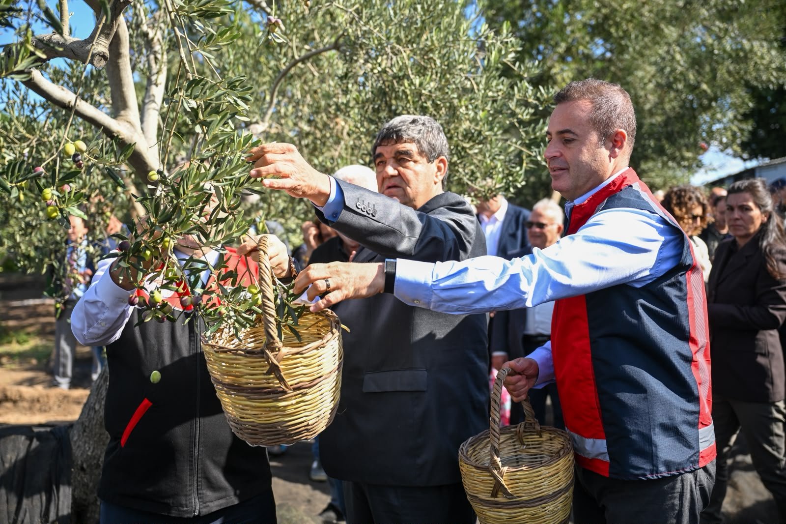akin altinova mahallesinde gerceklestirilen zeytin hasadina katildi 1