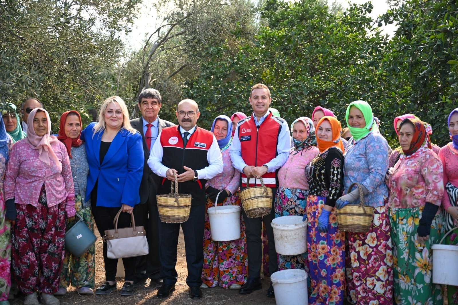 akin altinova mahallesinde gerceklestirilen zeytin hasadina katildi 3